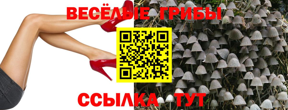 Галлюциногенные грибы GOLDEN TEACHER Сосновый Бор