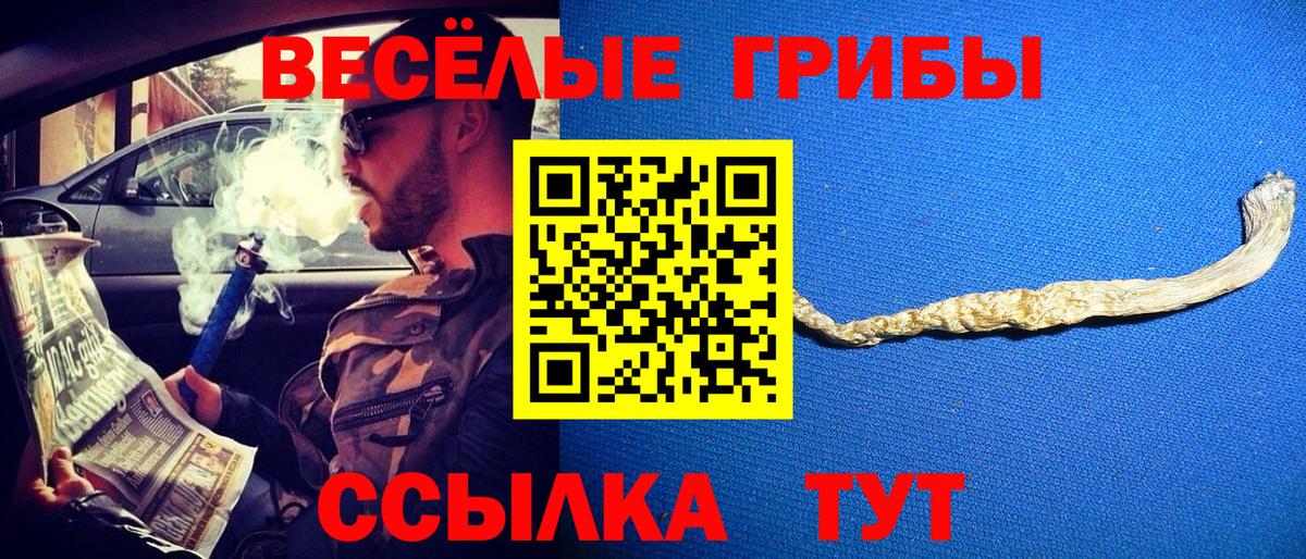 Псилоцибиновые грибы мицелий  Галлюциногенные грибы Psilocybe  Вход с VPN  Сосновый Бор 